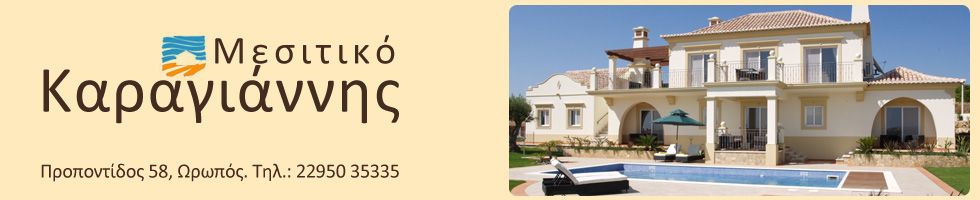 ΚΑΡΑΓΙΑΝΝΗΣ ΒΑΣΙΛΗΣ