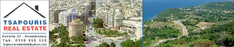TSAPOURIS REAL ESTATE