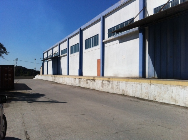 Warehouse - Pallini