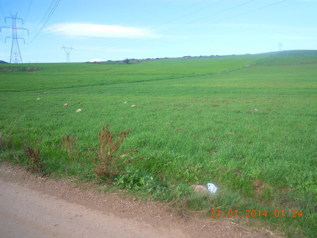 Land for sale Oinofyta Land area 150.000 sq.m.