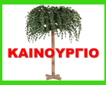 Δένδρο Φοίνικας για Διακόσμηση - Περιστέρι