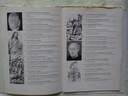 Εικόνα 3 από 3 - Βιβλία -  Κεντρικά & Νότια Προάστια >  Ηλιούπολη
