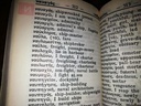 Εικόνα 7 από 8 - Λεξικό Τσέπης Ελληνοαγγλικό -  Βόρεια & Ανατολικά Προάστια >  Μαρούσι