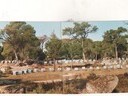 Εικόνα 1 από 2 - Μελίσσια -  Ανατολική Θεσσαλονίκη >  Κάτω Τούμπα