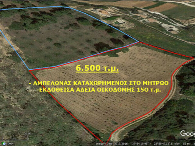 Πώληση γης Πόρτο Ράφτη Αγροτεμάχιο 6.500 τ.μ.