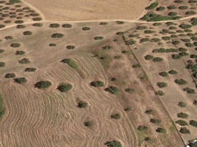 Ενοικίαση γης Κασσανδρεία Αγροτεμάχιο 20.000 τ.μ.