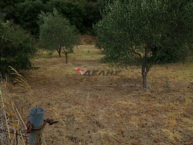 Land for sale Styra Land parcel 2.300 sq.m.