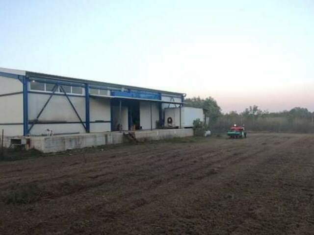 Commercial property for sale Drosero Crafts Space 245 sq.m.