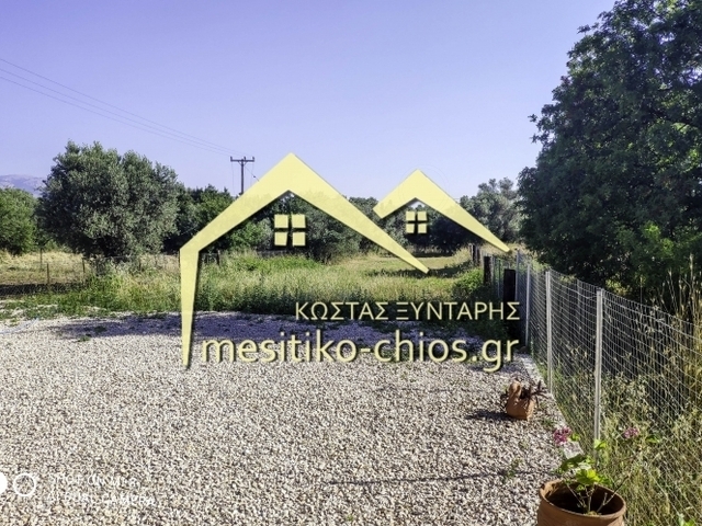 Land for rent Chios Plot 732 sq.m.