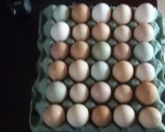 Αυγά Κότας και Κλωσσόπουλα - Αγία Τριάδα