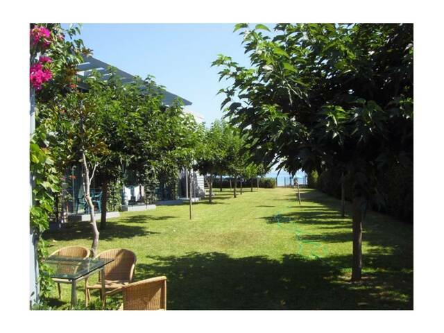 Εικόνα 1 από 15 - Ξενοδοχείο στην Αμμουδιά - Νησιά Ιονίου >  Ζάκυνθος