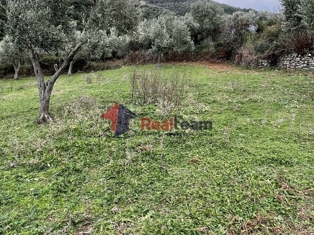 Land for sale Skopelos Plot 5.060 sq.m.