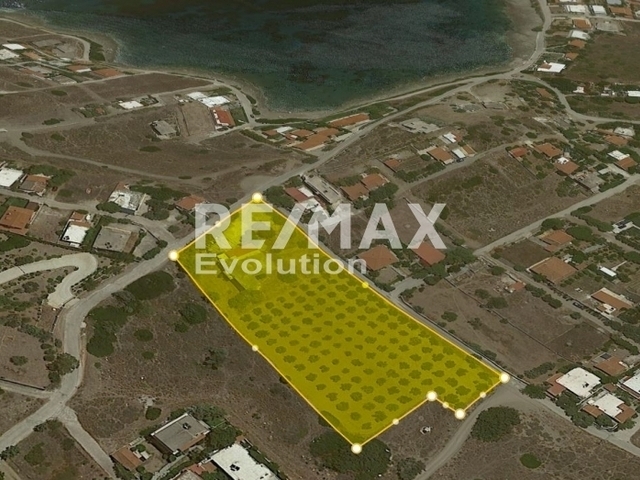 Commercial property for sale Agia Marina Mikrolimanou (Mikrolimano) Hall 486 sq.m.