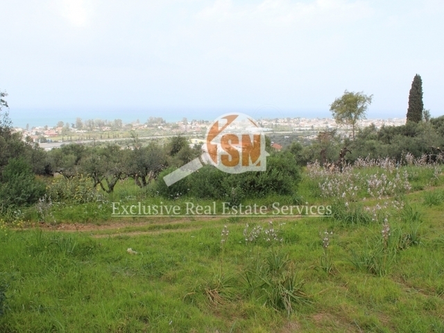 Land for sale Mintilogli Plot 3.549 sq.m.