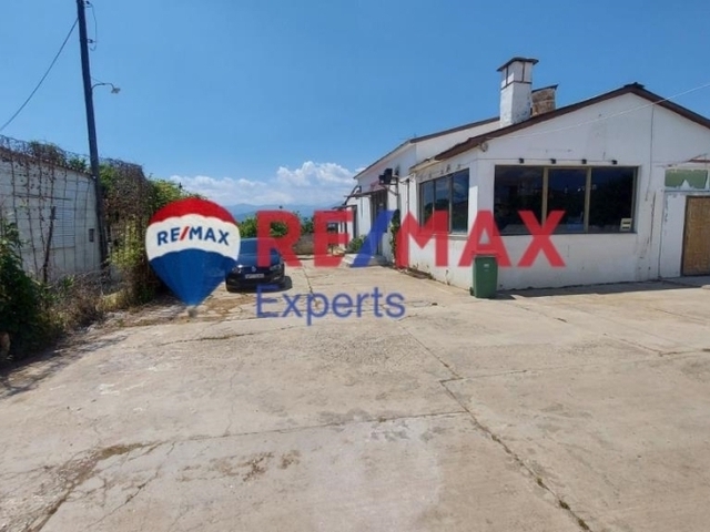 Commercial property for rent Agia Triada Hall 200 sq.m.
