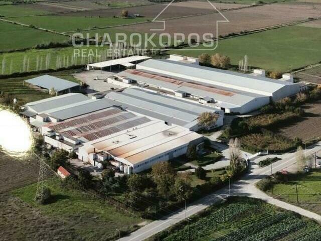 Commercial property for sale Spercheiada Industrial space 27.126 sq.m.
