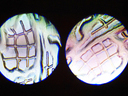 Εικόνα 18 από 25 - Ρομποτική Κεφαλή Light DMX Κονσόλα - > Κυκλάδες