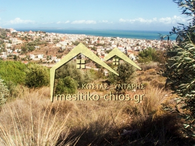Land for sale Chios Plot 6.027 sq.m.