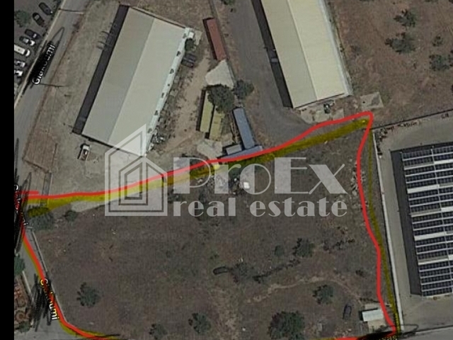 Land for rent Magoula Plot 5.000 sq.m.
