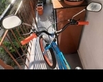Ποδήλατο Orient 24, Βάση - Κυψέλη
