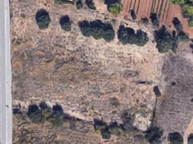Ενοικίαση γης Παλλήνη Οικόπεδο 5.000 τ.μ.