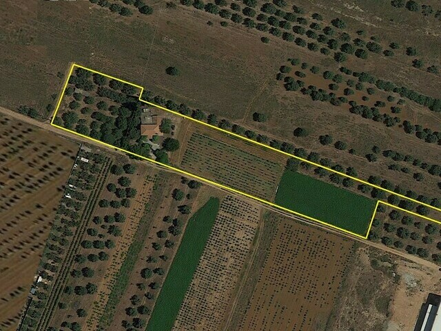 Πώληση γης Δ. Μαρκόπουλου Μεσογαίας Οικόπεδο 9.260 τ.μ.