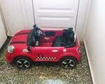 Ηλεκτρικό παιδικό αυτοκινητάκι Mini Cooper - Νομός Κορινθίας