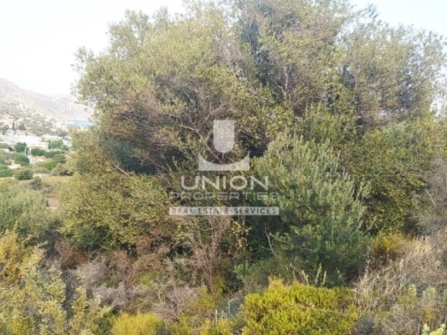 Πώληση γης Σαλαμίνα Οικόπεδο 220 τ.μ.