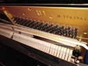 Εικόνα 3 από 6 - Πιάνο Yamaha U1 -  Βόρεια & Ανατολικά Προάστια >  Μελίσσια