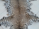 Εικόνα 1 από 2 - Δέρμα leopardi -  Κεντρικά & Δυτικά Προάστια >  Περιστέρι