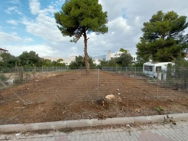 Land for rent Kifissia (Adames (Oikismos Gramos - Foinikas)) Plot 353 sq.m.