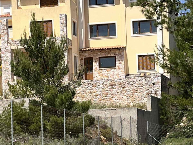 Home for sale Dioni Detached House 472 sq.m.
