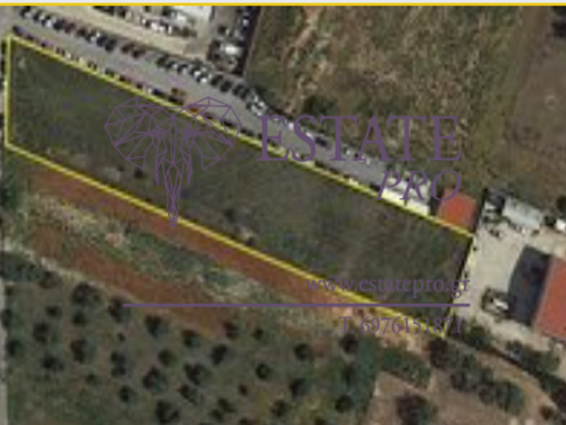 Πώληση γης Μαρκόπουλο Μεσογαίας (Μαρκόπουλο) Οικόπεδο 4.045 τ.μ.