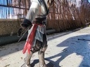 Εικόνα 4 από 6 - Assassin's Creed ΙΙ -  Κέντρο Αθήνας >  Κυψέλη