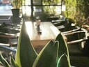 Εικόνα 10 από 10 - Cafe Bar - Restaurant -  Κεντρικά & Δυτικά Προάστια >  Χαϊδάρι