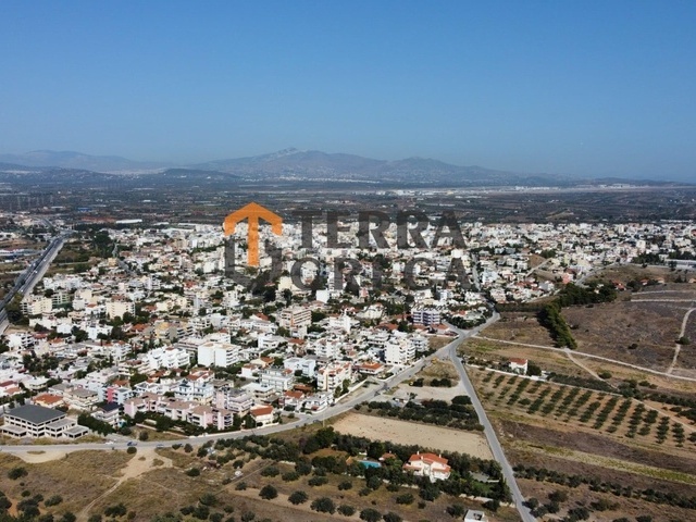 Land for sale Markopoulo Mesogaias (Markopoulo) Plot 1.485 sq.m.