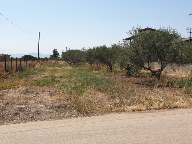 Land for sale Sikyona Plot 2.170 sq.m.