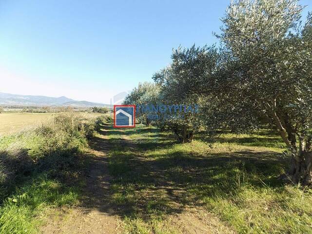 Land for sale Loutra Ypatis Land parcel 3.813 sq.m.