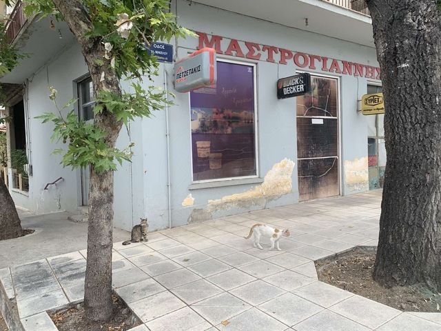 Commercial property for rent Kiato Store 110 sq.m.
