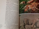 Εικόνα 5 από 5 - Εγκυκλοπαίδεια Θαυμαστός Κόσμος των Ζώων -  Κεντρικά & Νότια Προάστια >  Παλαιό Φάληρο