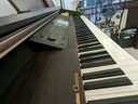 Εικόνα 8 από 8 - Πιάνο Yamaha Clavinova cvp 204 - Πελοπόννησος >  Ν. Κορίνθου