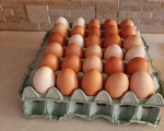 Αυγά - Υπόλοιπο Αττικής