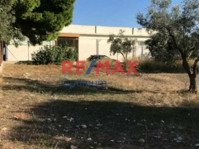 Commercial property for rent Koropi Crafts Space 486 sq.m.