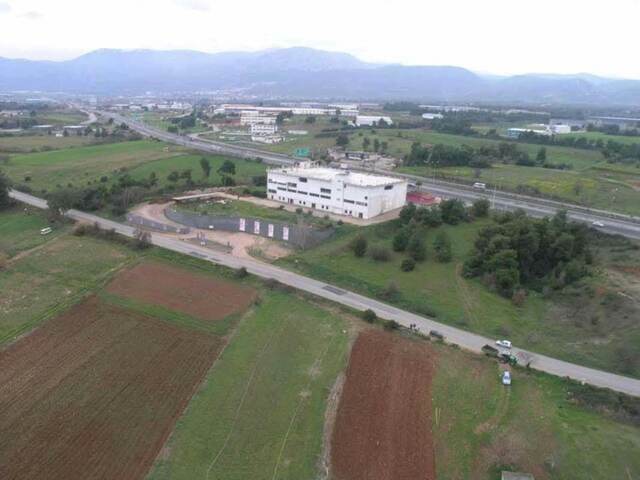 Commercial property for rent Avlonas Industrial space 7.000 sq.m.
