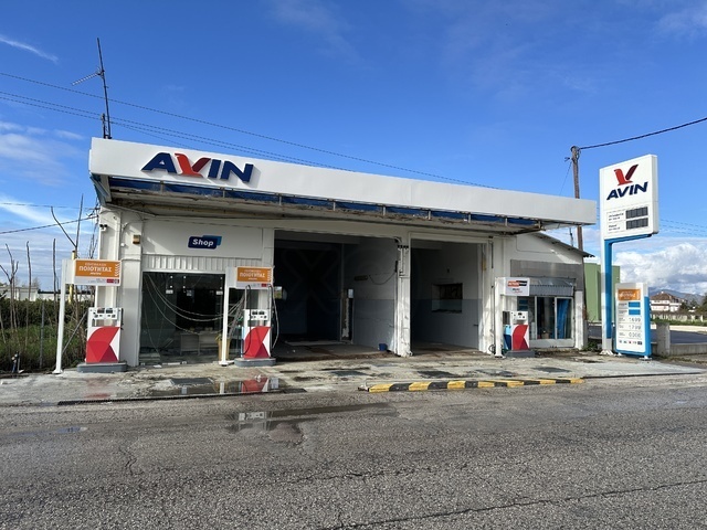 Commercial property for sale Arta Store 227 sq.m.
