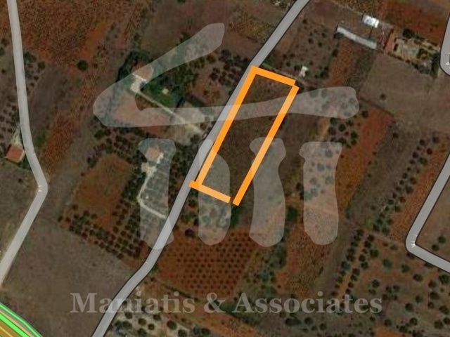 Land for rent Markopoulo Mesogaias (Markopoulo) Plot 7.000 sq.m.