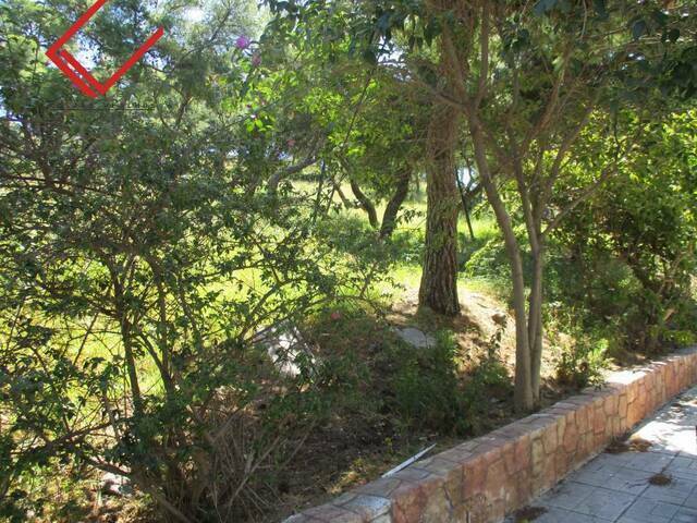 Land for sale Voula (Panorama) Plot 356 sq.m.