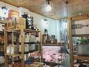 Εικόνα 5 από 7 - Παραδοσιακό παντοπωλείο-delicatessen -  Κέντρο Αθήνας >  Αμπελόκηποι