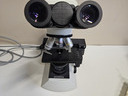 Εικόνα 1 από 10 - Μικροσκόπιο Olympus CX22 -  Πλατεία Αμερικής >  Άγιος Νικόλαος