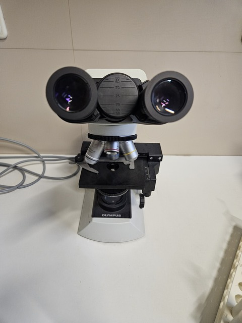 Εικόνα 1 από 10 - Μικροσκόπιο Olympus CX22 -  Πλατεία Αμερικής >  Άγιος Νικόλαος